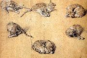 GAINSBOROUGH, Thomas Six studies of a cat oil on canvas